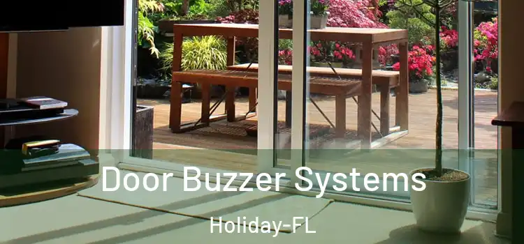  Door Buzzer Systems Holiday-FL