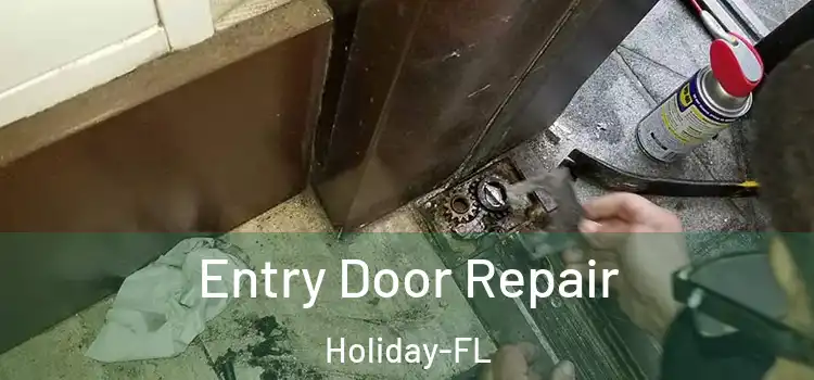 Entry Door Repair Holiday-FL