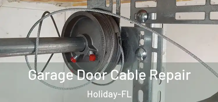  Garage Door Cable Repair Holiday-FL