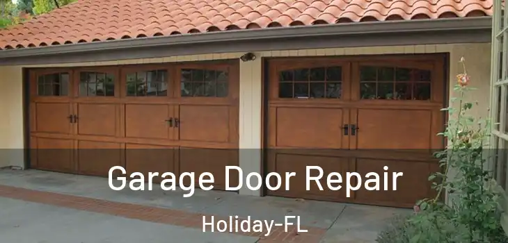 Garage Door Repair Holiday-FL