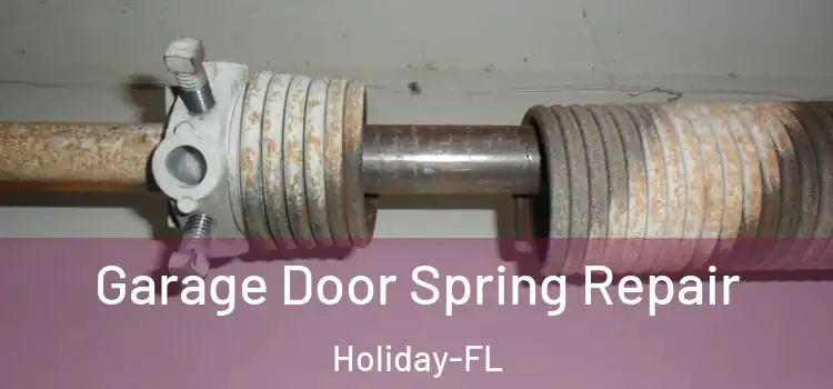 Garage Door Spring Repair Holiday-FL