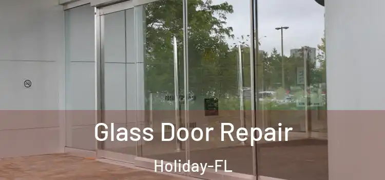 Glass Door Repair Holiday-FL