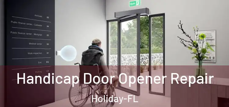 Handicap Door Opener Repair Holiday-FL