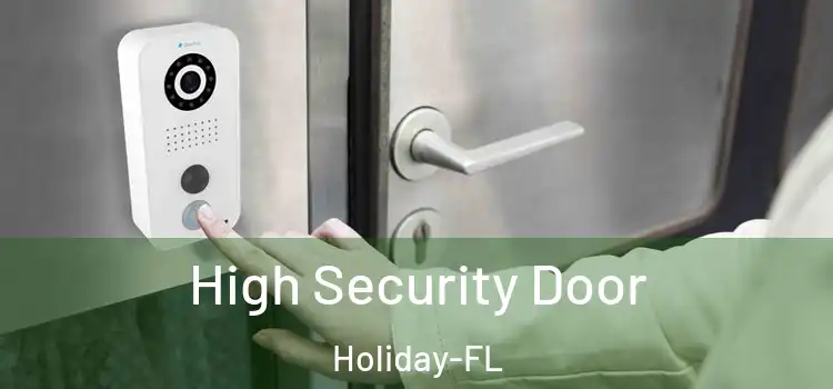  High Security Door Holiday-FL