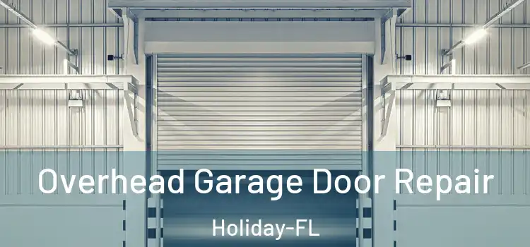 Overhead Garage Door Repair Holiday-FL
