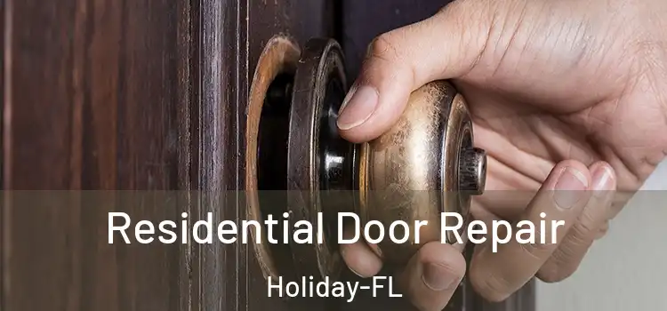  Residential Door Repair Holiday-FL
