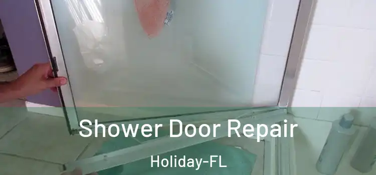  Shower Door Repair Holiday-FL