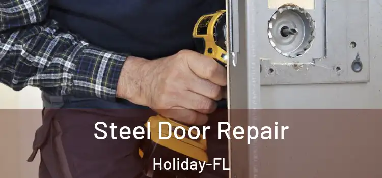  Steel Door Repair Holiday-FL